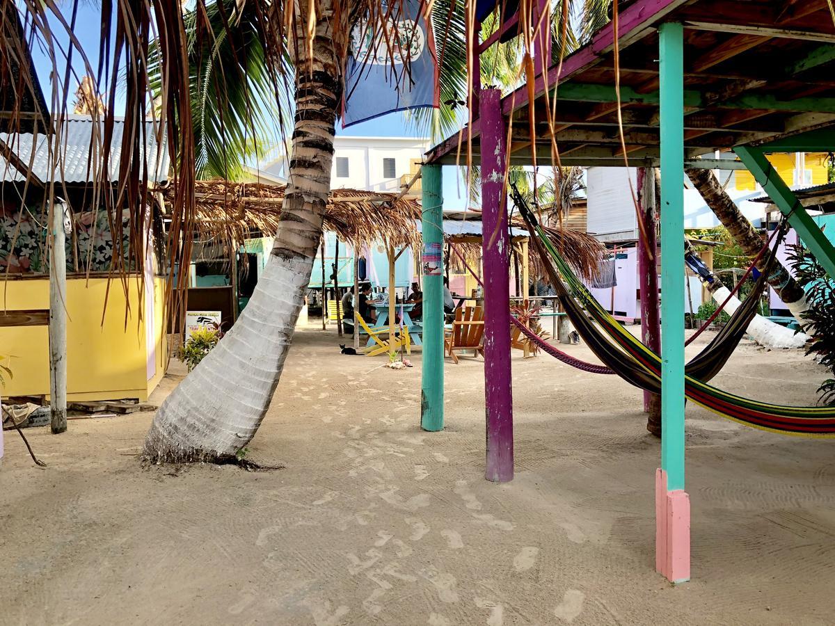 Tropical Oasis Caye Caulker Exterior photo