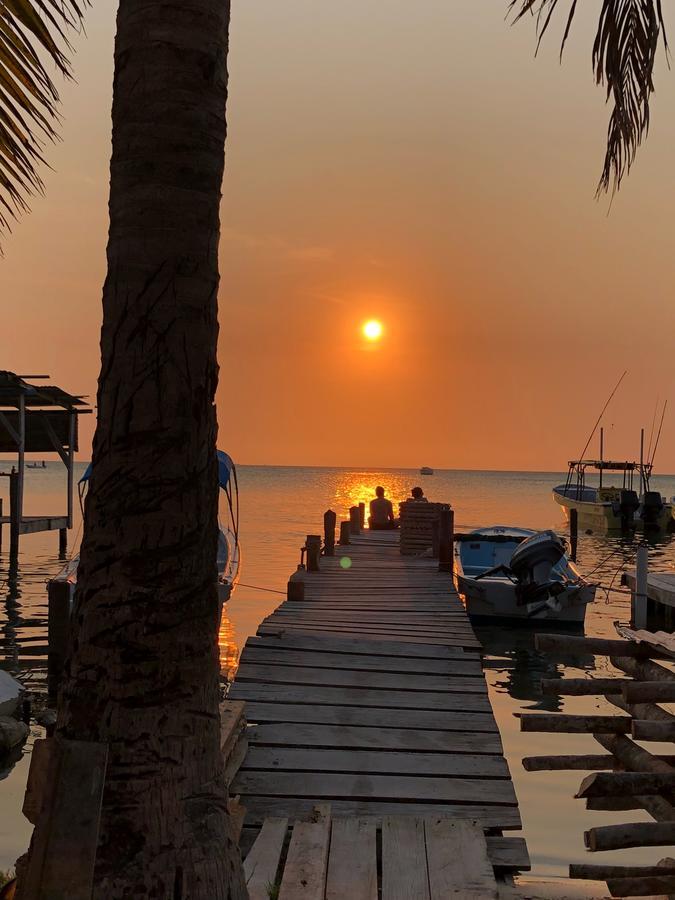 Tropical Oasis Caye Caulker Exterior photo