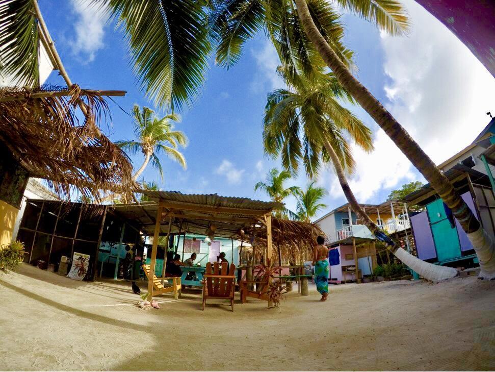 Tropical Oasis Caye Caulker Exterior photo